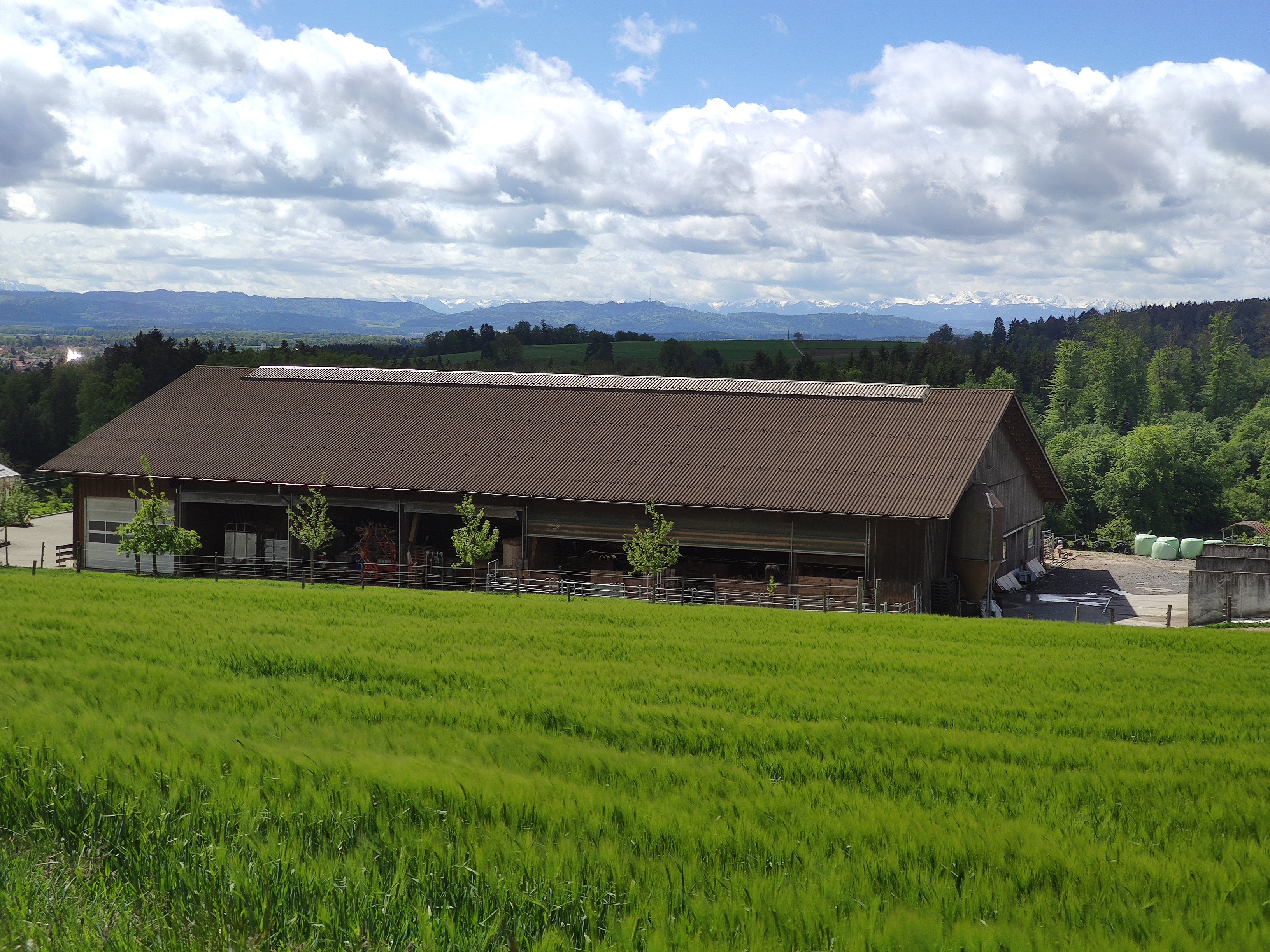 Manfred Burkis Bauernhof